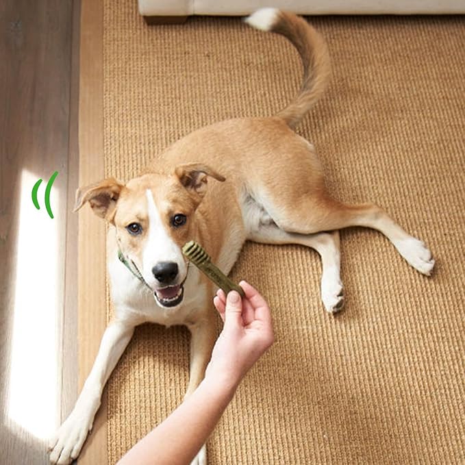 Greenies Puppy Teenie Size Natural Dental Dog Treats, 12 oz. Pack (43 Treats)