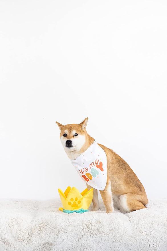 Pearhead Happy Barkday M/L Bandana Hat Set, Pet Birthday Gift, Dog Birthday Party Accessories, Party Hat and Bandana for Dogs, Pet Owner Must Have Accessories, Medium/Large