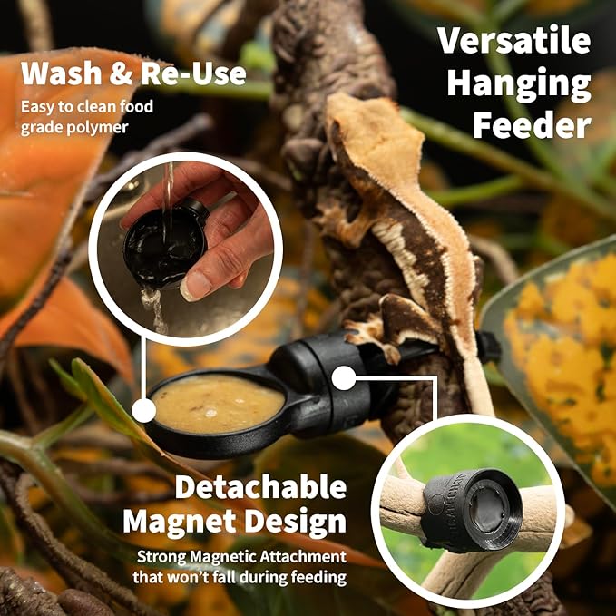 Pangea Microdish Branch & Surface Mount Kit for Gecko Feeding (S Branch Mount)