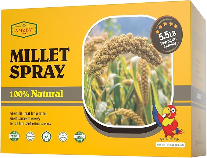 Amzey 5.5 LB Spray Millet for Parakeets, 100% Natural Dried Millet Grain for Birds, Non-GMO Millet Spray Bird Treat, Birds Millet, Cockatiel, Finches, Parrots & Lovebirds