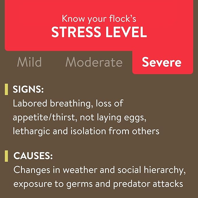 Recover 911, Severe Stress Probiotic Water Supplement for Chickens with Electrolytes, Prebiotics & Oregano, 8 oz