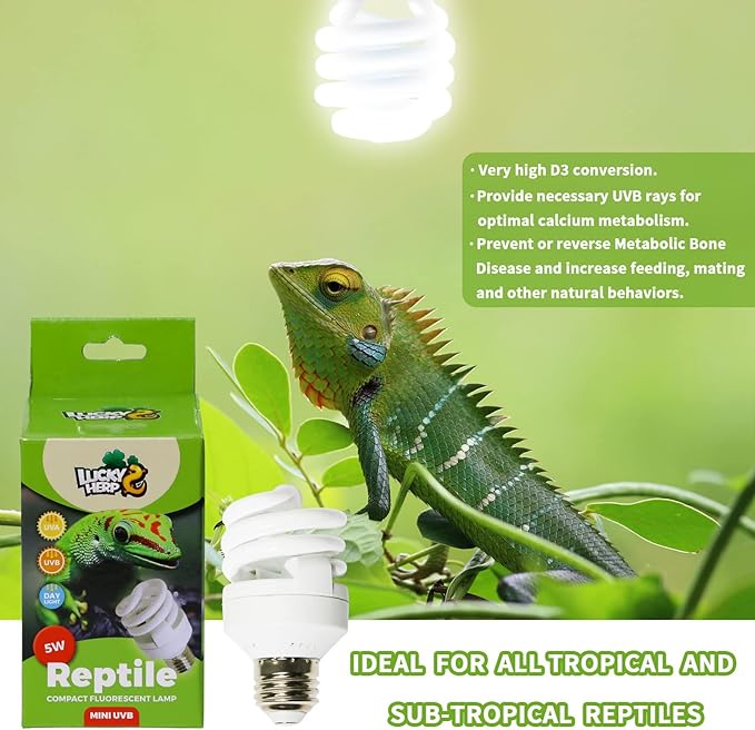 LUCKY HERP Mini UVA UVB Reptile Light 5.0 5W, UVB Bulb for All Tropical and Sub Tropical Reptiles, Compact Fluorescent Reptile UVB Bulb for Chameleons, Turtle, Gecko, Lizard, etc.