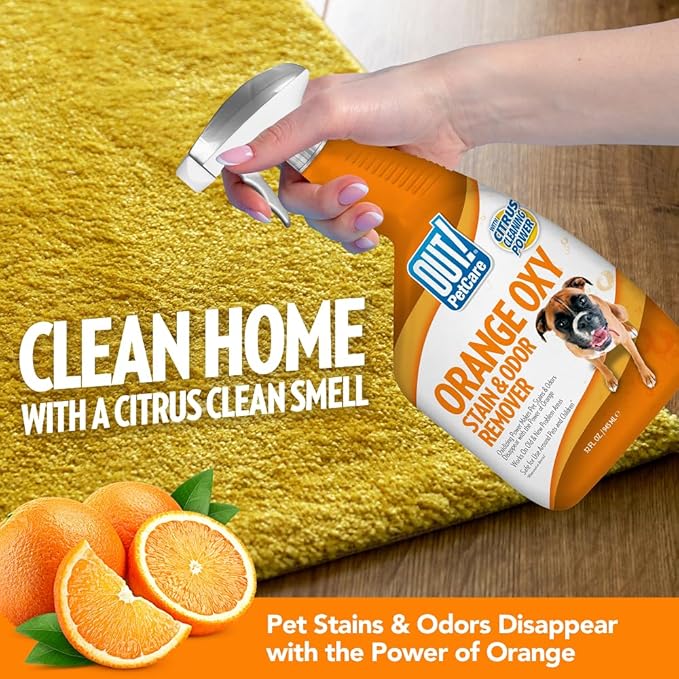 OUT! PetCare Orange Oxy Stain & Odor Remover | Oxy Clean Pet Stain and Odor Eliminator | 32 oz