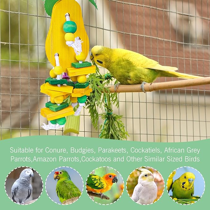 Hamiledyi 4 PCS Bird Toys Parrot Toys Multicolor Natural Wooden Block Bird Chewing Toys Parrot Cage Bite Toys for Conures Parakeets Cockatiels Lovebirds African Grey Macaws Amazon Parrots