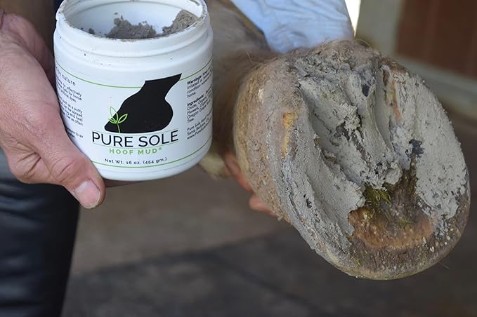 Thrush Treatment for Horses - Pure Sole Hoof Mud - Hoof Clay for Horses - A Horse Hoof Care Product for Thrush, White Line, and Hoof Wall Separation | Use Regularly for A Healthy Hoof. - 16 oz.