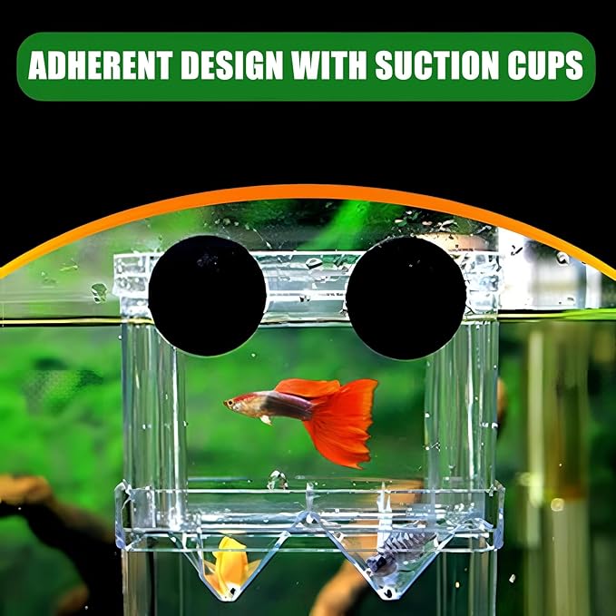 in-Tank Aquarium Breeder Box for Fish Tank, Breeding Incubator for Small Fish Hatchery, Acrylic Divider for Shrimp Clownfish Aggressive Fish Injured Fish, Can Connect Air Pump (Small)