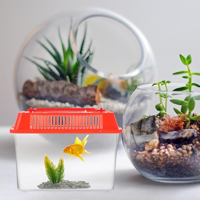 Baluue Portable Fish Tank, Handheld Fish Tank, Plastic Mini Fish Box, Transparent Cutout Design, Plastic Aquarium with Handle for Turtle and Pet Fish ((Red- Lid for Random))