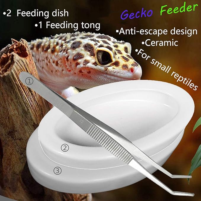 Reptile Worm Feeding Dish Bowls Gecko Lizard Feeder Dish with Feeding Tong, 2 Bowls and 1 Feeding Tong, Ceramic Mini Size