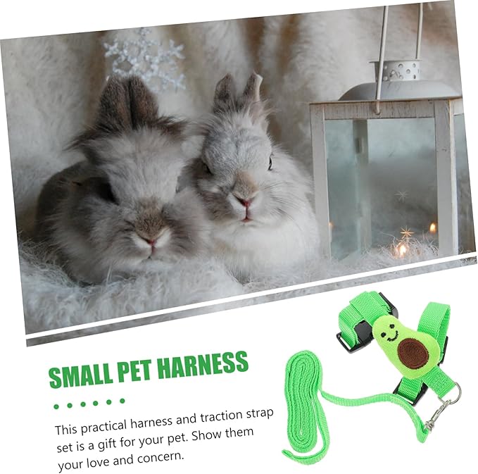 1 Set Rabbit Leash Hedgehog Avocado Leash Mini Pig Harness Ferret Walking Vest Bunny Harness and Leash for Rabbits Rabbit Harness kit Bunny Harness Large Polyester pet Hamster