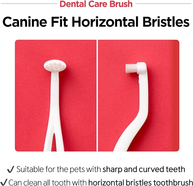 Dental Care Brush (Soft Bristles) - Toothbrush for Cat and Small Dog with Horizontal Head & Easy Grip Handle (5)