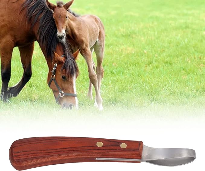 Hoof Trimmer Shears Stainless Hoof Knife Loop Oval Hoof Knife Steel Cutter Rubber Wood Handle Multipurpose