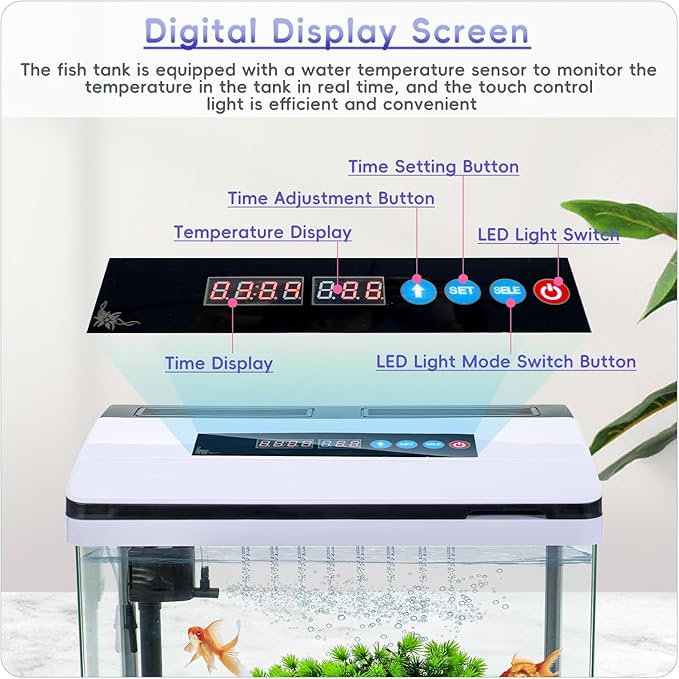 6 Gallon Glass Aquarium Fish Tank Starter Kit with Temperature and Time Display for Betta Fish Featuring Crystal Clear 360° Viewing, Eco-Cycle Filtration, Air Pump