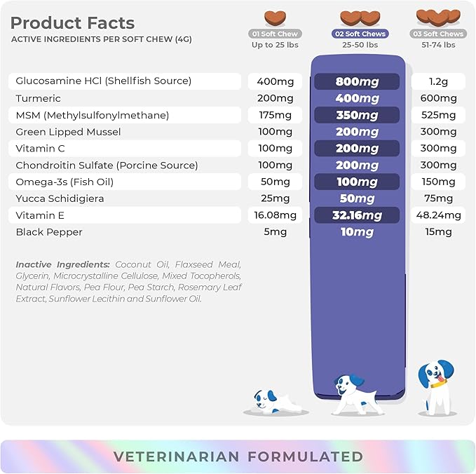 Joint Supplement for Dogs - 90 Soft Chews - with Green Lipped Mussel, Glucosamine, Turmeric, Fish Oil, MSM and Yucca Schidigera (Soft Chews)