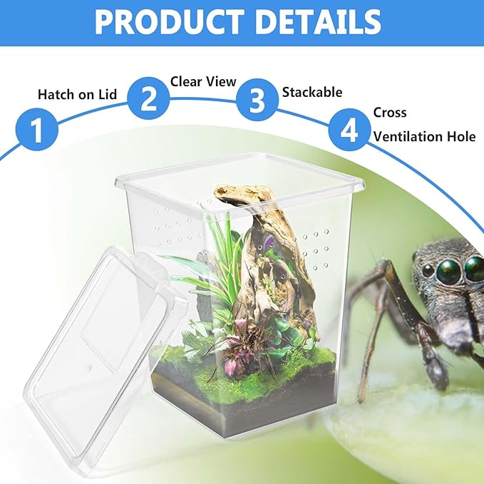 6 Pcs Tarantula Enclosure Insect Spider Terrariums Breeding Box Jumping Spider Enclosure Breeding Box Hatching Container Insect Container Breeding Box (Small Size)