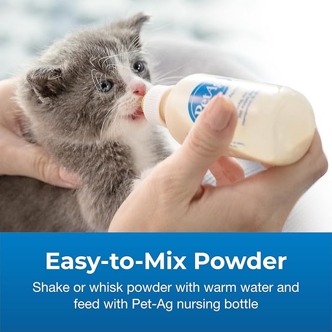 PetAg KMR Kitten Milk Replacer Powder - 6 oz, Pack of 4 - Powdered Kitten Formula with Prebiotics, Probiotics & Vitamins for Kittens Newborn to Six Weeks Old - Easy to Digest