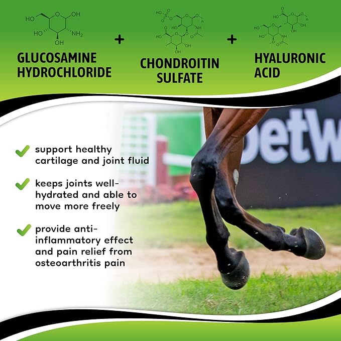 SynoStride All Natural, All-in-one, Joint Health Supplement for Horses, Powder with Glucosamine, Chondroitin, Hyaluronic Acid, Biotin, Methionine, Trace Minerals, Made in USA (1080 Grams)