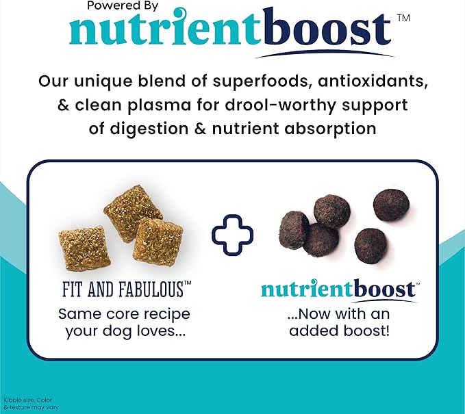 Solid Gold Nutrientboost Fit and Fabulous Dog Food - Dry Dog Food for Weight Control - Digestive Probiotics for Dogs - Grain & Gluten Free - High Fiber & Low Fat - Superfoods & Antioxidants - 3.75 LB