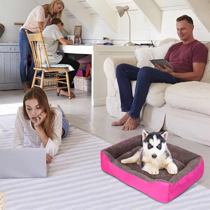 PUPPBUDD Dog Beds for Medium Dogs, Washable Dog Bed Comfortable and Breathable Pet Bed Rectangle Warming Dog Bed for Medium Dogs