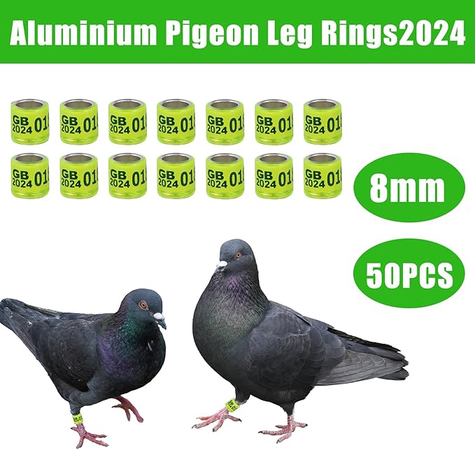 50Pcs Aluminium Pigeon Leg Rings with 2024 GB Training Identify 8mm Birds Leg Bands for Pigeon Parrot Quail (Fluorescent Color)