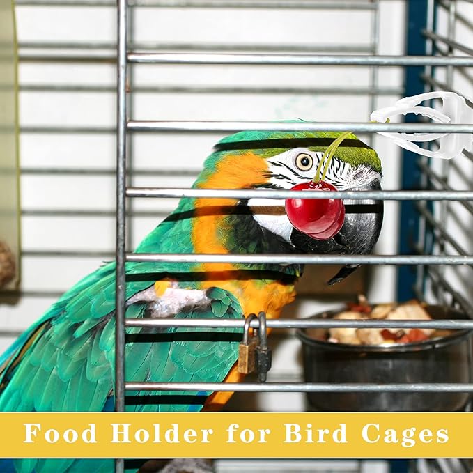 6 Pieces Bird Cage Food Holder Parrot Fruit Vegetable Clips Bird Cage Feeder Clip for Budgie Parakeet Cockatoo Macaw Cockatiel Conure