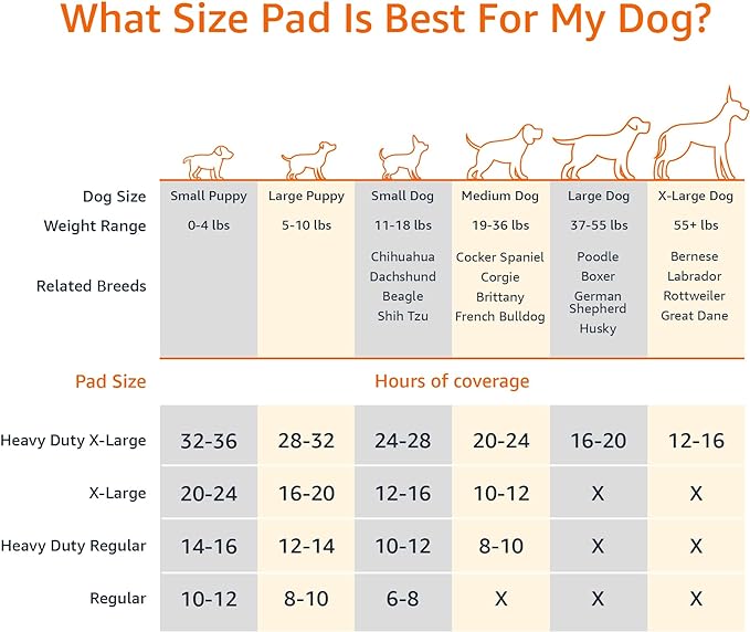 Amazon Basics Carbon Odour-Control Dog and Puppy Training Pads, Leakproof with Quick-Dry Surface, Regular, Pack of 120, Gray