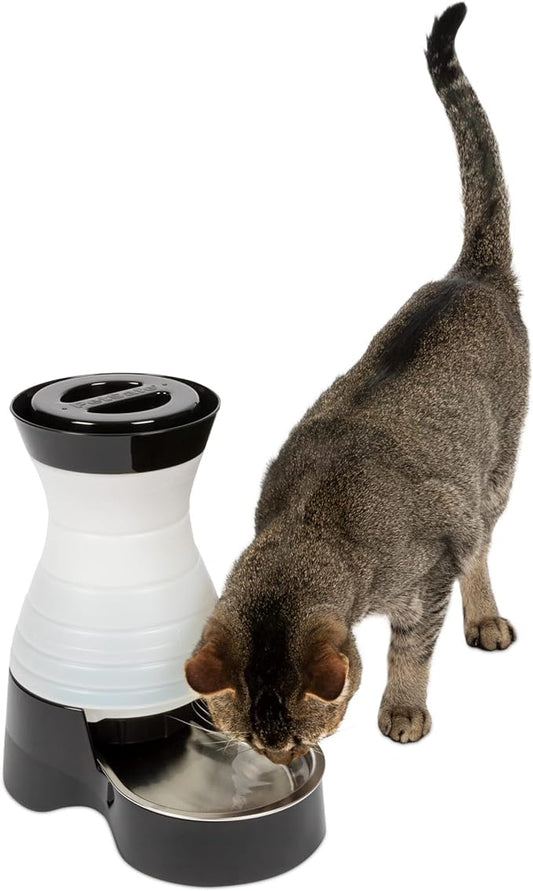 PetSafe Healthy Pet Water Station - Small, 64 oz Capacity, Gravity Cat & Dog Waterer, Removable Stainless Steel Bowl Resists Corrosion & Stains, Easy to Fill, Filter Compatible