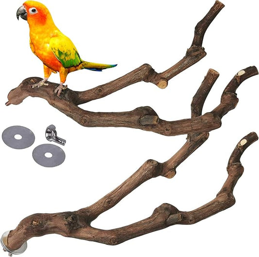 kathson Natural Parrot Perch Bird Stand Pole Wild Grape Stick Paw Grinding Fork Parakeet Climbing Standing Branches Toy Chewable Cage Accessories for Small Budgies Cockatiels Lovebirds 2PCS