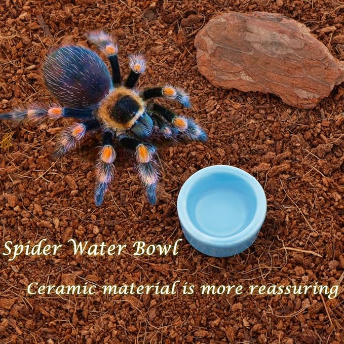 9 Pcs Spider Ceramic Water Bowl Tarantula Mini Dish for Tarantula Spider Millipede Tiny Bugs Terrarium Accessories (Blue)