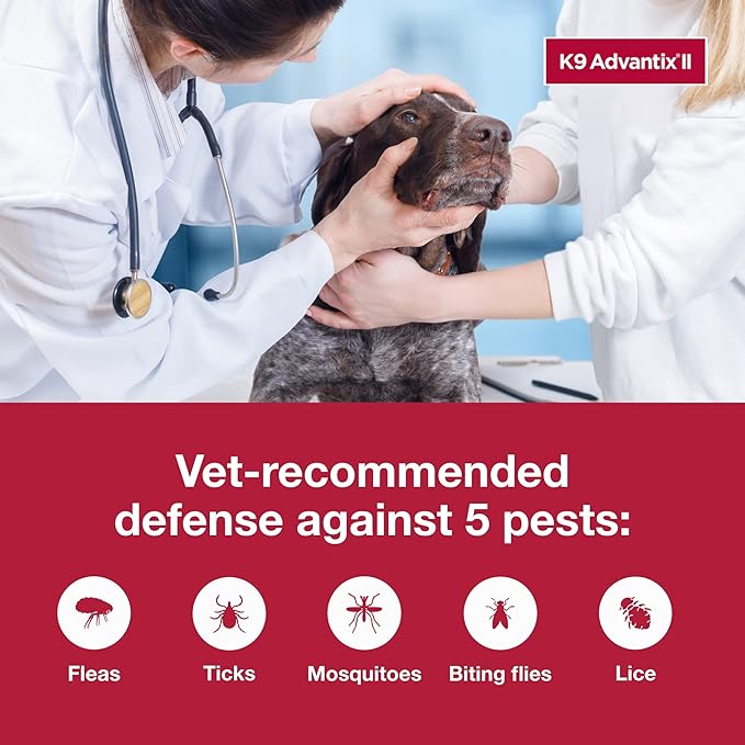 K9 Advantix II XL Dog Vet-Recommended Flea, Tick & Mosquito Treatment & Prevention | Dogs Over 55 lbs. | 12-Mo Supply