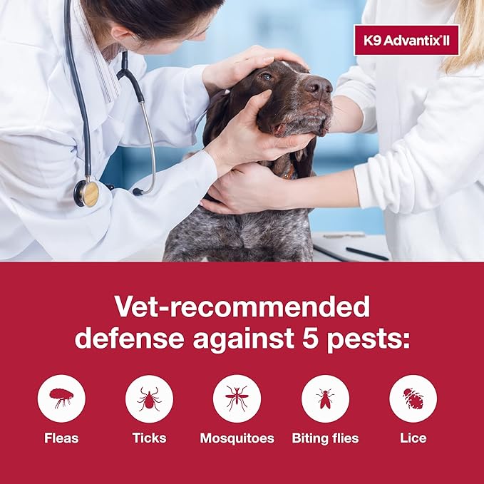 K9 Advantix II XL Dog Vet-Recommended Flea, Tick & Mosquito Treatment & Prevention | Dogs Over 55 lbs. | 8-Mo Supply