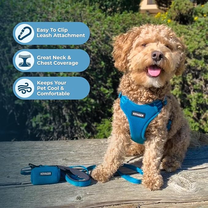 Best Pet Supplies Voyager Adjustable Dog Harness Leash Set with Reflective Stripes for Walking Heavy-Duty Full Body No Pull Vest with Leash D-Ring, Breathable All-Weather - Harness (Turquoise), L