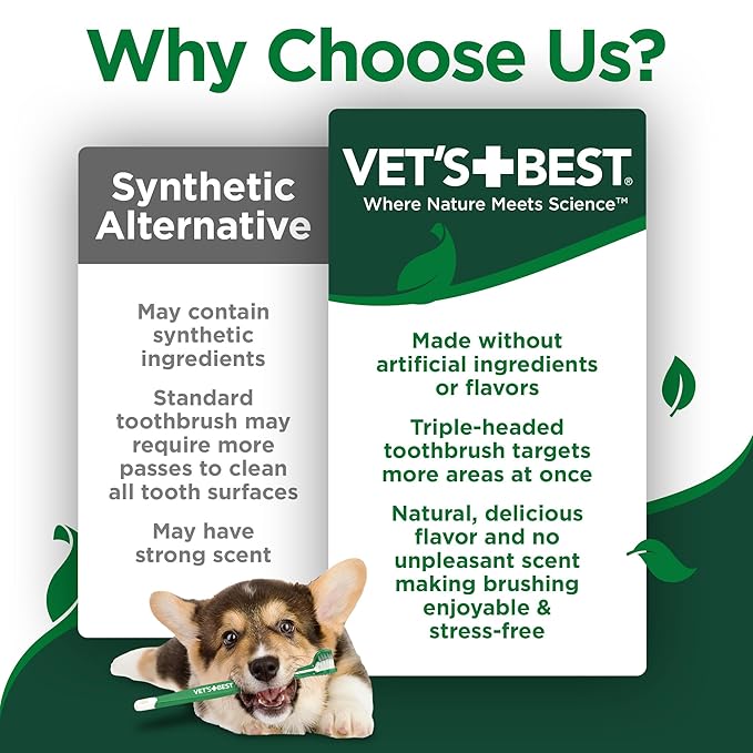 Vet's Best Dog Toothbrush & Toothpaste Kit - Natural Ingredients Reduce Plaque, Whiten Teeth, Freshen Breath