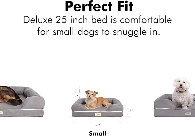 Friends Forever Small Dog Bed, Orthopedic Dog Sofa Memory Foam Mattress, Calming Dog Couch Bed, Wall Rim Pillow, Water Resistant Liner, Washable Cover, Non-Slip Bottom, Chester, Small Grey