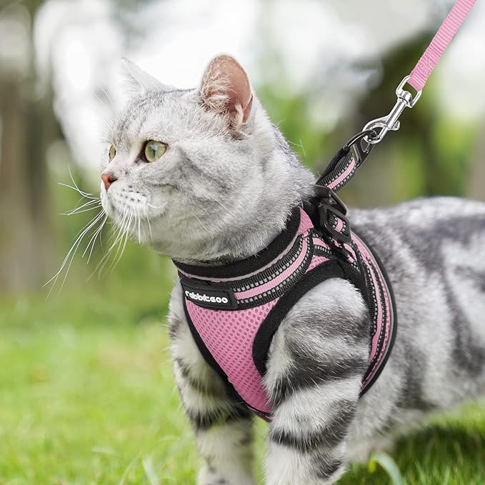 rabbitgoo Cat Harness and Leash Set for Walking Escape Proof, Adjustable Soft Kittens Vest with Reflective Strip for Cats, Comfortable Outdoor Vest, Pink, M