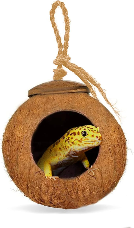 SunGrow Leopard Gecko Coco Hut, Gecko Climbing Accessories, Raw Coconut Shell Reptile Hide, Terrarium Habitat Décor, 2.5” Opening Diameter, with Fiber Loop for Hanging (1-Hole)