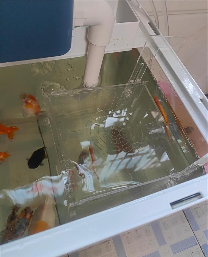 Acrylic fish breeding box, Acrylic Fish Isolation Box, fish separator for aquarium, Hatchery Incubator with Suction Cups for Small Baby Fishes Shrimp Clownfish Guppy (5.9 * 5.9 * 5.9inch)