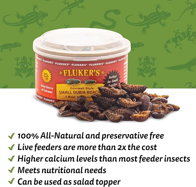 Fluker's Gourmet Canned Food for Reptiles, Fish, Birds and Small Animals, Small Dubia Roaches, 1.2 oz