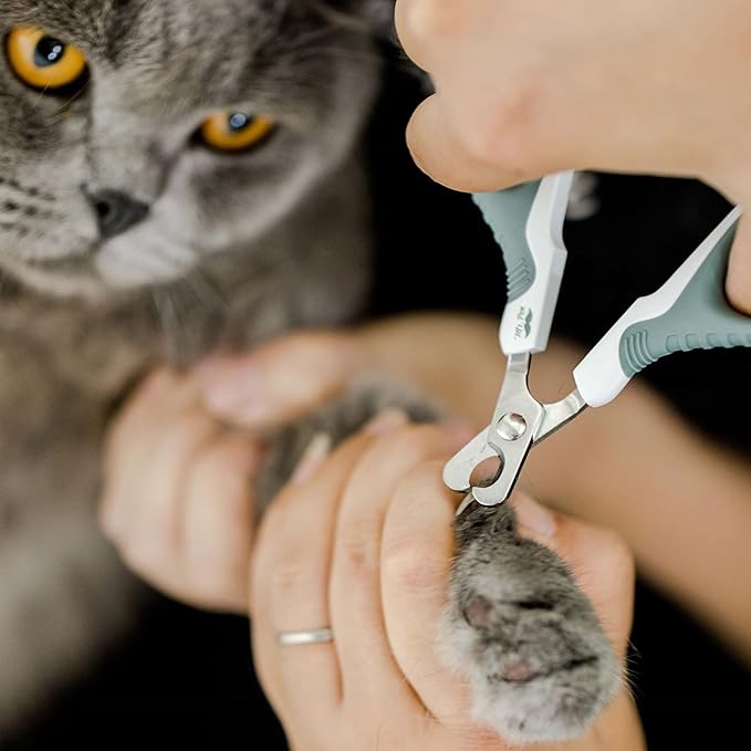 Mr. Pen- Cat Nail Clipper, Cat Nail Trimmers, Cat Claw Clippers, Cat Claw Trimmers, Kitten Nail Clipper, Cat Clippers for Nails, Nail Clippers for Cats, Pet Nail Clippers for Cats, Cat Nail Cutter