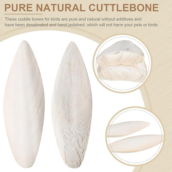 Fabbay 80 Pcs 3.54-4.33 Cuttlebone for Birds Cuttlefish Bone Bulk Parakeets Canaries Mynah Natural Cuttlebone for Reptile Tortoise Turtles Lovebirds Toucans Reptiles Snails