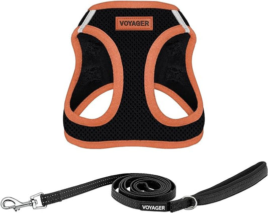 Voyager Step-in Air All Weather Mesh Harness and Reflective Dog 5 ft Leash Combo with Neoprene Handle, for Small, Medium and Large Breed Puppies by Best Pet Supplies - Black/Orange Trim, Medium