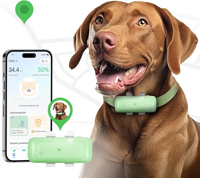 P1 GPS Dog Cat(6.5 lbs+) Tracker - Pet GPS Location Tracker for Anti Lost No Distance Limited, Waterproof, Real Time Tracking & Smart Activity, Fit All Pet Collars, Green