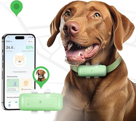 P1 GPS Dog Cat(6.5 lbs+) Tracker - Pet GPS Location Tracker for Anti Lost No Distance Limited, Waterproof, Real Time Tracking & Smart Activity, Fit All Pet Collars, Green