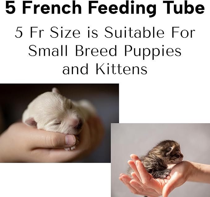 Tube Feeding Kit for Puppies Kittens Includes Kendall Puppy Feeding Tube 5 French and 12 Ml Syringe for Fading Puppy Support Whelping Kit or Baby Kitten Supplies (5 FR)