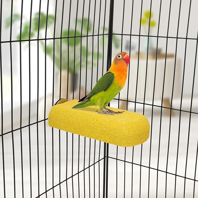 Hypeety Bird Parrot Calcium Teeth Mouth Molar Grinding Stone Hamster Grinding Stone Chew Toy Perch Jumping Stand for Parrot Budgies Chinchilla Squirrel Hamster Cage Stand Platform (Random Colour)