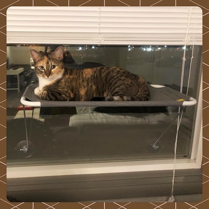 Cat Window Perch, Cozy Cat Window Hammock for Sunbathing Experience, Give Your Cat The Best Seat in The House with a Cat Window Bed - The Best Cat Perch for Your Furry Friend (M, Gold)