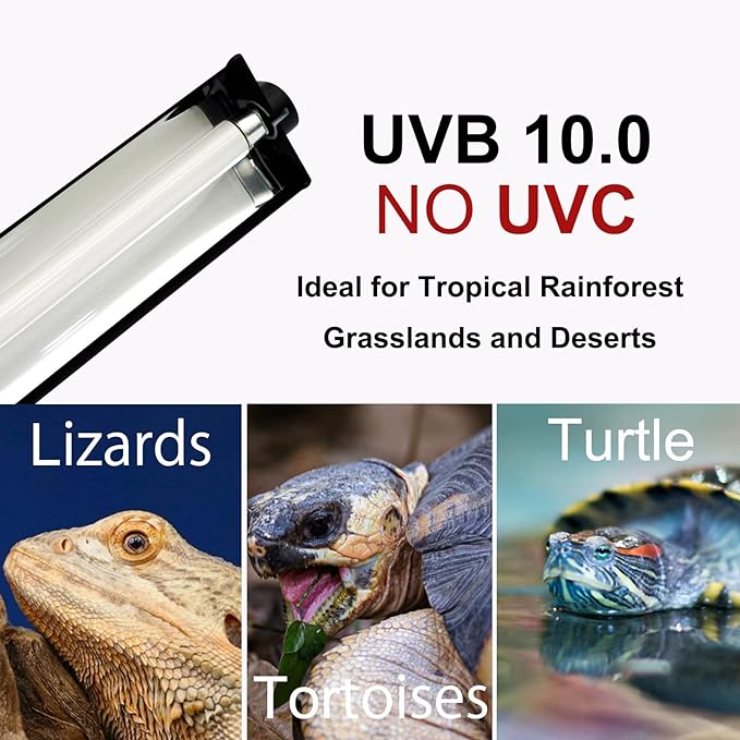 T5 UVB Lighting Combo Kit, Reptile Light Fixture with UVB 10.0 Fluorescent Tube Ideal for Tropical and Deserts Such as Bearded Dragon Lizards and Tortoises(8W-13in)