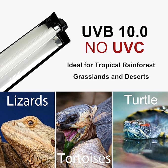 T5 HO UVB Lighting Combo Kit, Reptile Light Fixture with UVB 10.0 Fluorescent Tube Ideal for tropical rainforest grasslands and deserts such as Lizard Snakes Turtles and Tortoises(39W-36in)