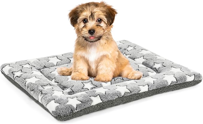 Dog Bed Mat, Reversible Crate Pad for Medium Small Dogs, Machine Washable, Portable and Soft Pet Bed Pad/Mat for 22-inch Kennel