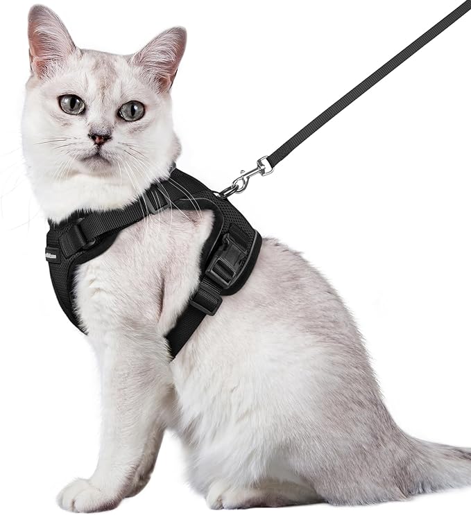 rabbitgoo Cat Harness and Leash for Walking, Escape Proof Soft Adjustable Vest Harnesses for Cats, Easy Control Breathable Reflective Strips Jacket, Black, M