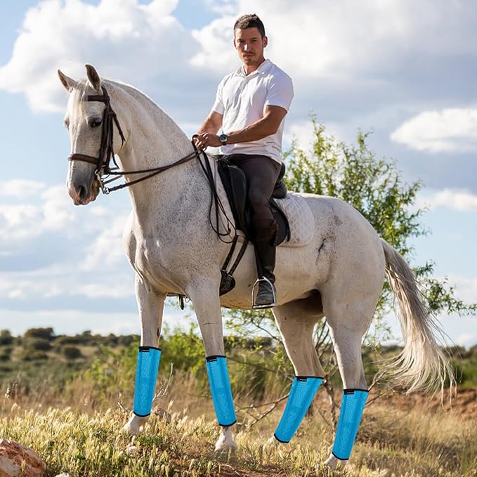 Horse Fly Boots, Adjustable Fly Boots for Horses Set of 4, Comfortable Horse Leggings, Breathable Plastic Mesh Material, Horse Supplies for Reduces Stress & Leg Fatigue (Blue)